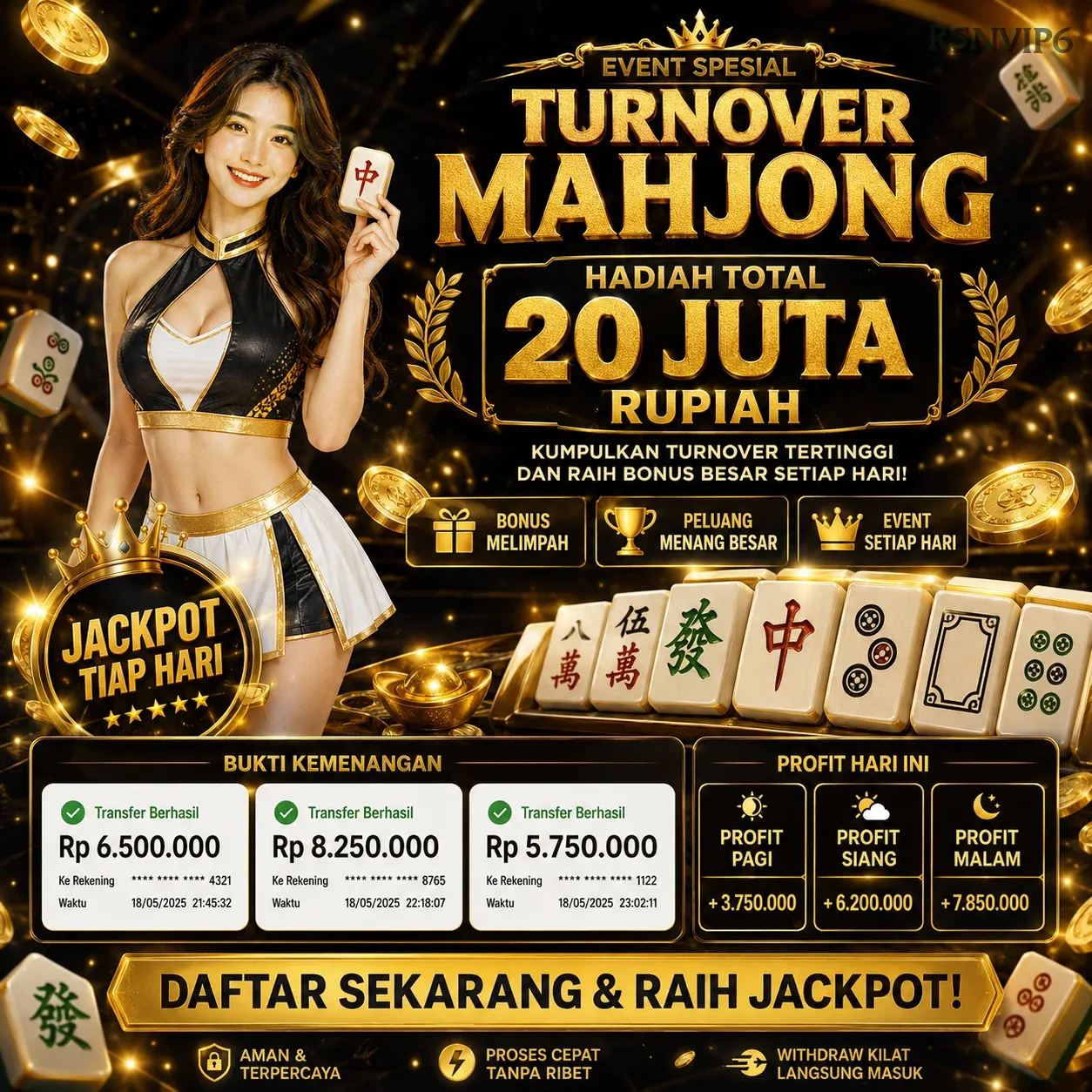 rsnvip6